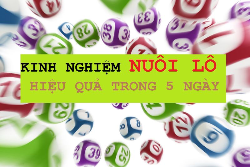 Nuôi lô khung 5 ngày có rất nhiều ưu điểm